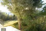 HATAY ARSUZ ARPADERESİ MAH GÜLERYÜZ SİTESİ DENİZ GÖRÜR BAKIMLI 3+1 DOĞA İÇİ KİRALIK DUBLEKS